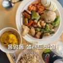 그린앤피니 이미지