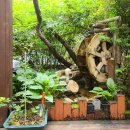 [202505] 김도균 서울총회장의 45회 식사모임 이미지