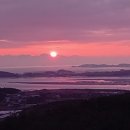 섬바다향기 이미지