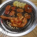초계양고기
