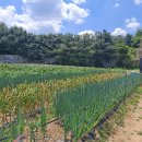 내곡동700 이미지