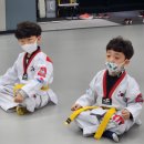 내체력 태권도장 이미지