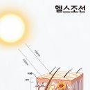 사계절피부사랑