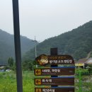 성진오토
