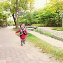 서연컬렉션 네이버블로그