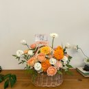 디자인베이트리 이미지