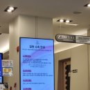 아프리카동물병원 | 24아프리카동물메디컬센터 대전동물병원 구내염 고양이 방문 후기