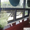 패밀리당구장 이미지