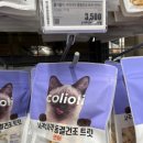 마켓올리
