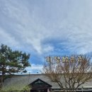 6684 | [경북맛집] 경산 반곡지 맛집 마당닭갈비 후기｜꽃구경 후 치즈닭갈비, 고양이까지 힐링 코스