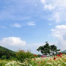 497정원 이미지