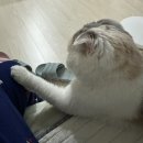 행복한 생일 보낸 후기 (부제목 : 서프라이즈가 미치는 영향,,ㅋ)