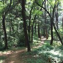 숲속 한옥 펜션 이미지