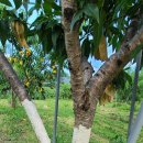 KCC페인트 동해 이미지