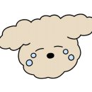 스위트왈왈 이미지