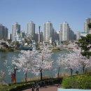 석촌공원길 이미지