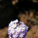 산울림트레킹