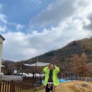 포독스1