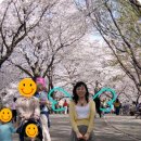 평화동016 이미지