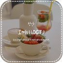 오씨티(OCT)