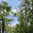 시립중앙도서관 화장실 이미지