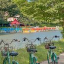 (주)진우여행 | 담양 여행 필수 코스, 무료 자전거 대여 &amp; 담양 국수거리 맛집 '진우네집국수'