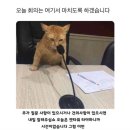 토모가 이미지