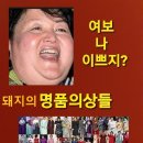 돼지천하 이미지