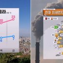 낙성대 숲속공원 이미지