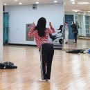 라인댄스 Daum카페