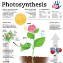 천하환경 이미지