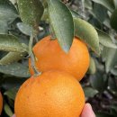 한라앤탐 이미지