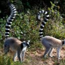 백호PC방 이미지