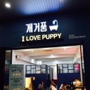 개거품그루밍 네이버블로그