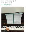 동탄 송동 성인 피아노 학원/20대 직장인 수강생 리얼 후기와 연주