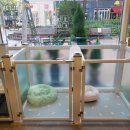 몽띠아모 이미지