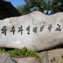 하추 사계절 이미지