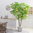 과일카페 190 이미지