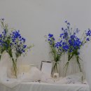 글라디올라스 및 다양한 여름 꽃다발과 decoration 이미지