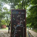 ◇ 2026.07.13(월) 청계산의 매력에 푹 빠져들다. ^^ /성남 누비길 6구간 단축 변형 코스 _ 이수봉 + 이미지