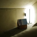 스테이 그로브 이미지