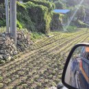 다마내기 이미지