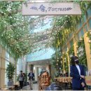 롯데백화점 정문 이미지