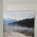 남대문월드광학 | 11. 카시오 엑슬림 EX-ZR50, 셀카 모드 가능한 디지털카메라 소개와 작례 (인생 첫 직구로 구매한...