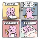 누울지 | 일상 2025년 10월 20일 ~ 10월 26일