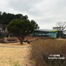 [문학여행] 제주 한라도서관 구내식당 feat. 고기•비빔국수 / 콩나물해장국