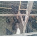 은덕농장 이미지