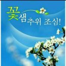 웃으면 돼지 이미지