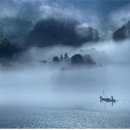 유 애 묘 이미지