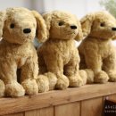 손바느질로 만드는 강아지 옷 이미지